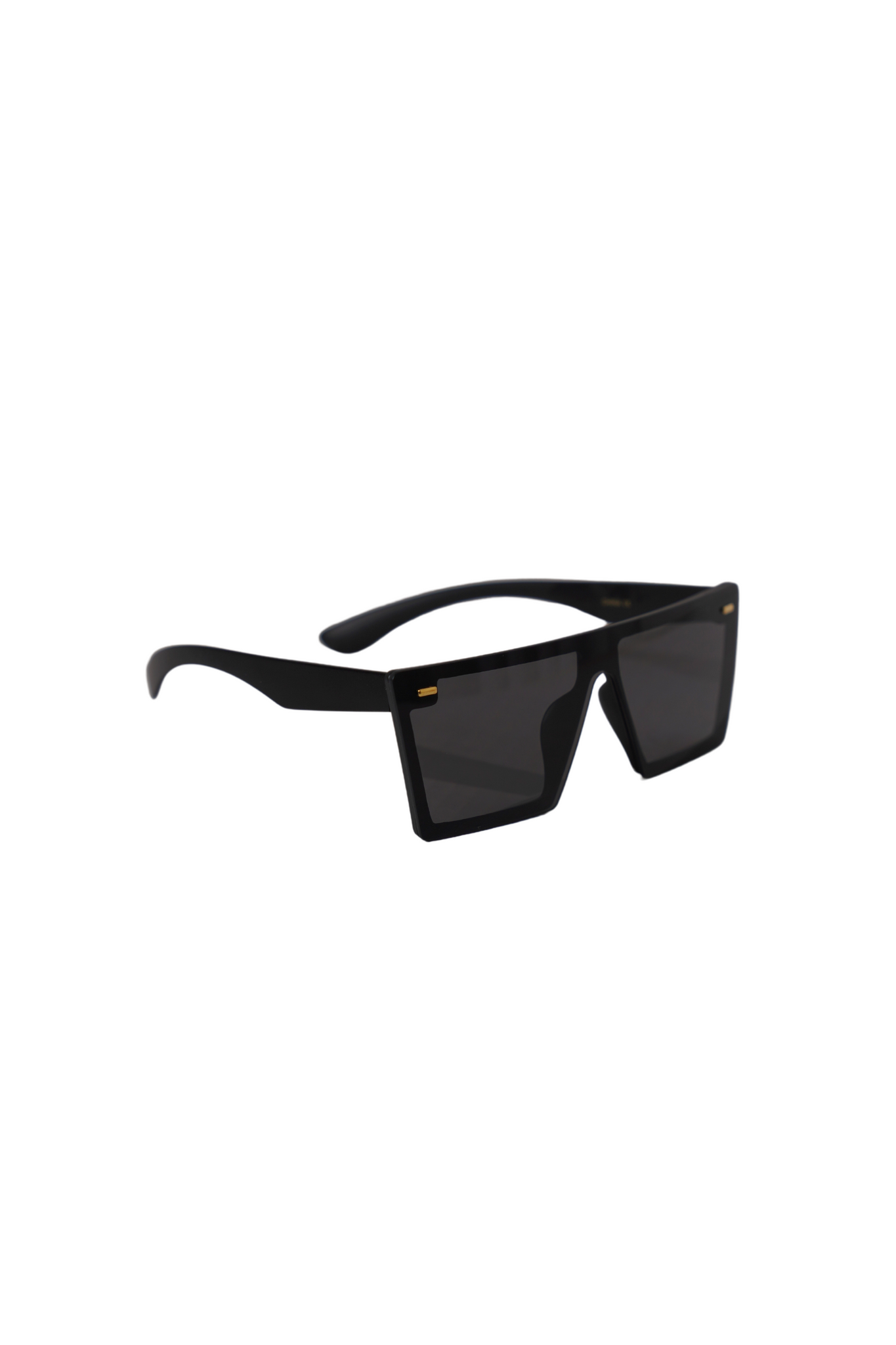 Blackout Sunglasses - truthBlack