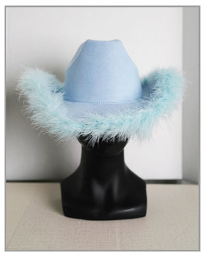 Blue Fedora Hat with feathers
